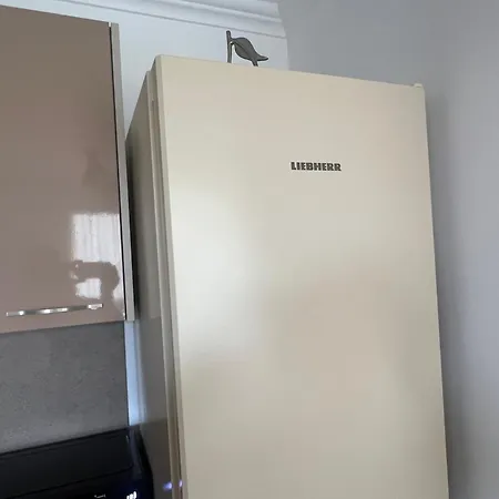 Phoenix феникс شقة